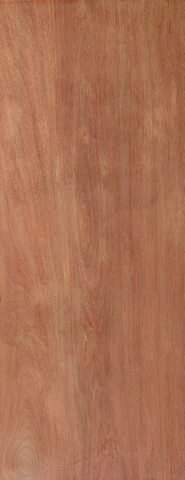 JB Kind External Ply Flush Hollow Core Door