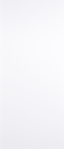 LPD Internal White Primed Flush Door