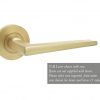 Frelan Hardware Satin Brass Mayfair Lever