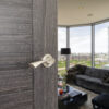 Eco Aqua Aluminium Lever Door Handle on Round Rose - Satin Nickel/Polished Nickel