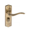 Old English Warwick WC Lever Door Handle on Backplate - Antique Brass