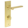 Fitzrovia Door Handle Din Bathroom Backplate Satin Brass & Turn & Release