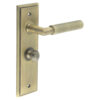 Piccadilly Door Handle Bathroom Backplate Antique Brass & Turn & Release