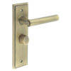 Richmond Door Handle Bathroom Backplate Antique Brass & Turn & Release