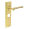 Fitzrovia Door Handle Bathroom Backplate Satin Brass