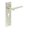 Fitzrovia Door Handle Euro Backplate Satin Nickel
