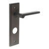 Fitzrovia Door Handle Din Bathroom Backplate Dark Bronze