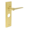 Knightbridge Door Handle Bathroom Backplate Satin Brass