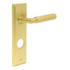 Piccadilly Door Handle Din Bathroom Backplate Satin Brass