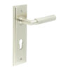 Piccadilly Door Handle Din Euro Backplate Satin Nickel