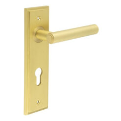 Richmond Door Handle Din Euro Backplate Satin Brass