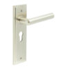 Richmond Door Handle Euro Backplate Satin Nickel