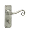Chester Suite Door Handles on Bathroom Plate Pewter