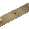 Fanshaw Backplate for Cupboard Knobs 140x30mm Antique Brass