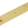Fanshaw Backplate for Cupboard Knobs 140x30mm Satin Brass