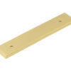 Hoxton Rushton Backplate for Cabinet Handles 140x30mm Satin Brass