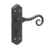 Royal Suite Door Handle on Bathroom Plate Black