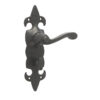 Fleur De Lys Suite Door Handle on Bathroom Plate Black