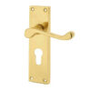 Victorian Scroll Door Handle on Euro Profile Lockplate Polished Brass