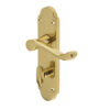Epsom Suite Door Handle on Bathroom Plate Polished Brass