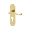 Epsom Suite Door Handle on Euro Profile Lockplate Polished Brass