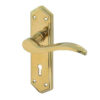 Paris Suite Door Handles on Lockplate PVD Brass