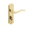 Paris Suite Door Handles on Bathroom Plate PVD Brass