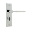 Delta Suite Door Handles on Bathrooom Plate Polished Chrome