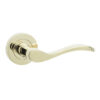 Turin Door Handles Brass Finish