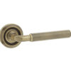 Elise Door Handle in Antique Brass