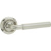 Elise Door Handle on Rose Satin Nickel