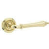 Camille Door Handle on Rose Polished Brass