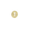 Contemporary Satin Brass Escutcheons for Mortice Knobs