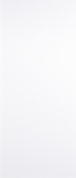 LPD White Primed Flush Fire Door